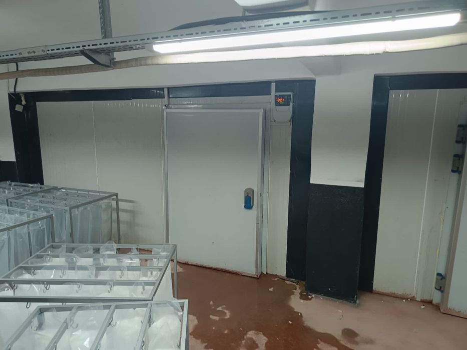 Промышленные холодильные камеры