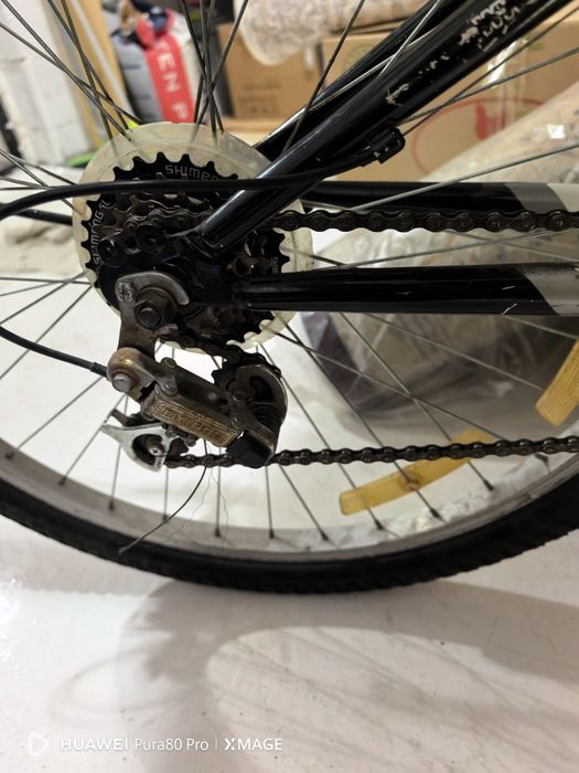 Phoenix LB-2603-13S