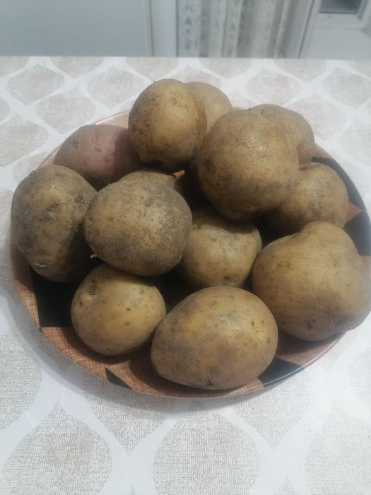 Продам картофель домашний.