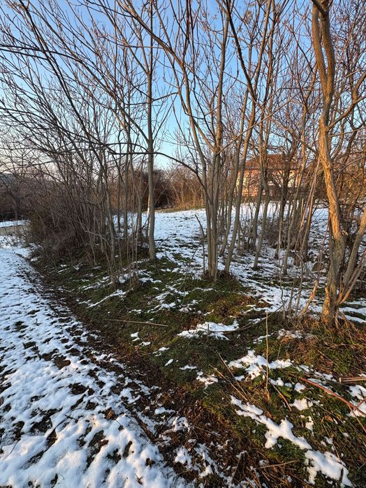 Продава се Парцел в Бяла Слатина - 2020 кв.м за 3 €/кв.м - Снимка #9