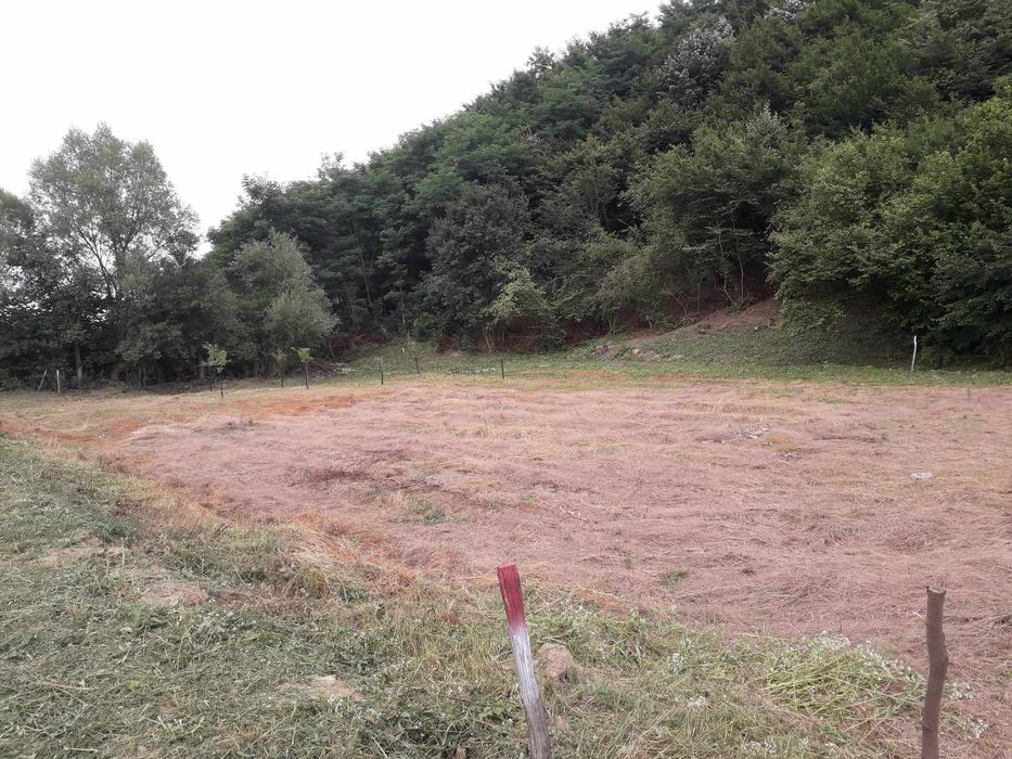 Vând teren intravilan 1200mp