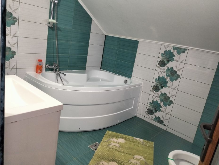 Cabană Valea  Dejani!Liber de revelion!