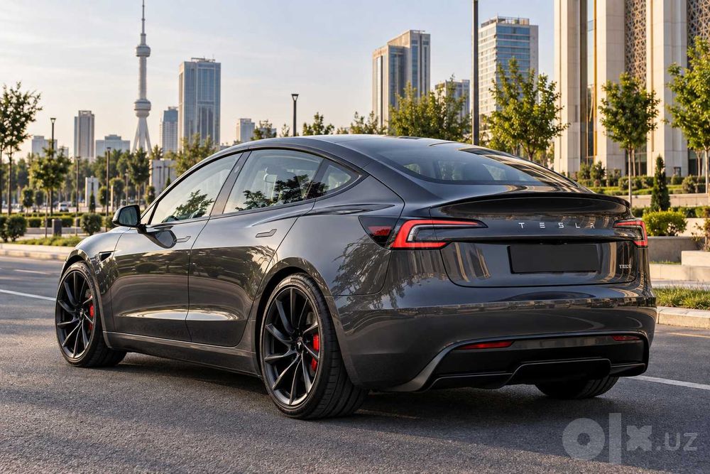 tesla model 3 Highland Plaid