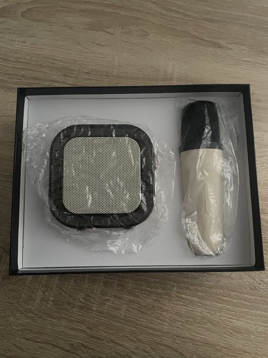 Колонка с микрофоном