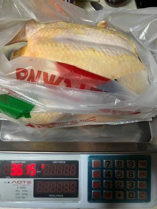 Курочки домашние