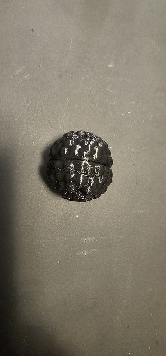 Трюфел за дресиране/обучение