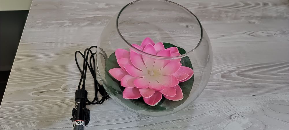 Bol peste Beta cu încălzitor acvariu