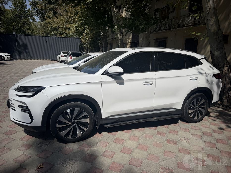 BYD chempion 110 talik