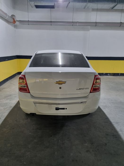 Cobalt 2025/2026 pazitsa masla