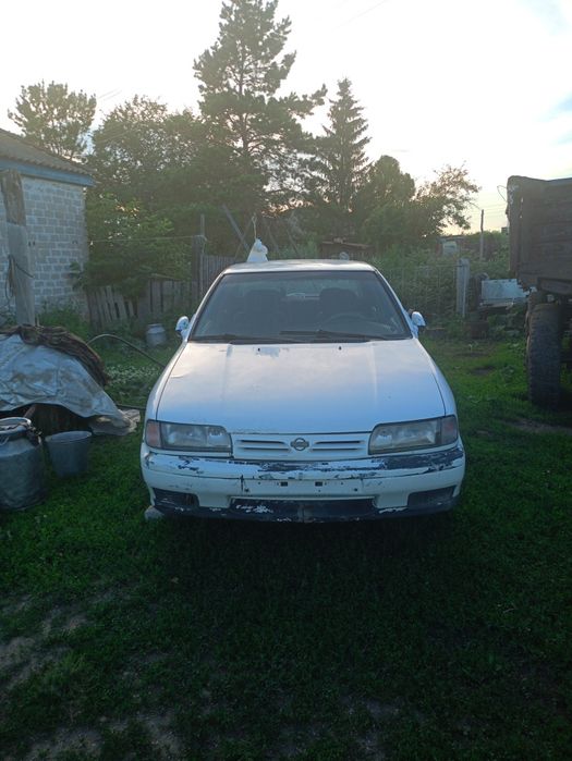 Продаю nissan primera p10