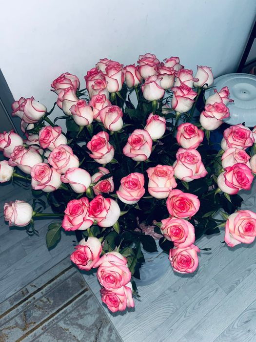 Срочноооо! Гигант розы 51штукк