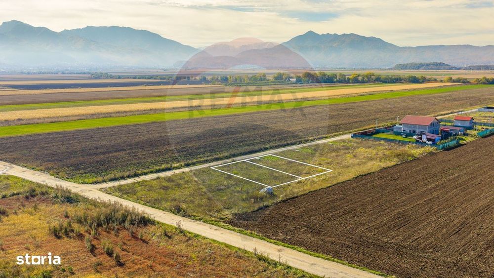 0% Comision | Teren 650 mp | Sacele, Str. Venus | INTRAVILAN