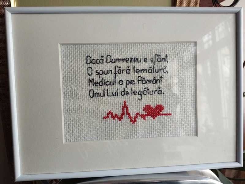 Tablou cusut pentru un medic dedicat, handmade, 20x30 cm