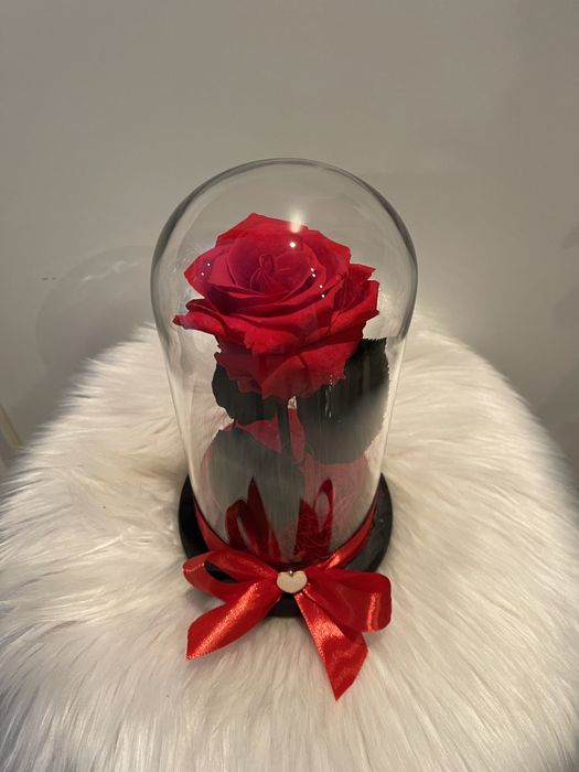 Cadouri Trandafiri criogenati
