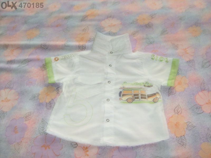 Лятна Ризка