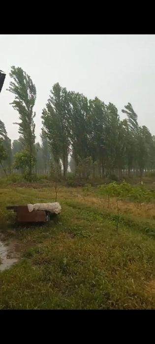 Dalahovli qilish niyatida bôlganlar uchun keng maydonli yer