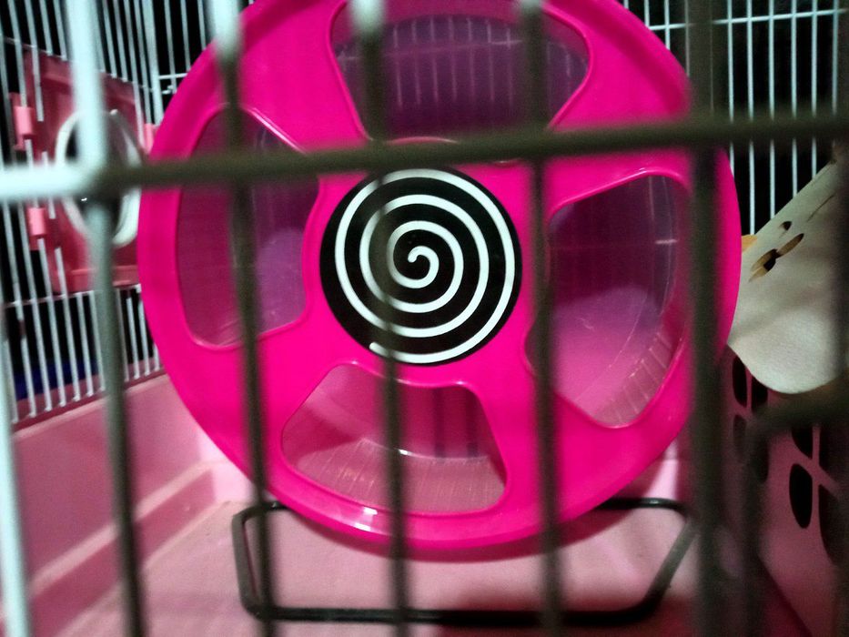 Клетка для хомяка попугаев