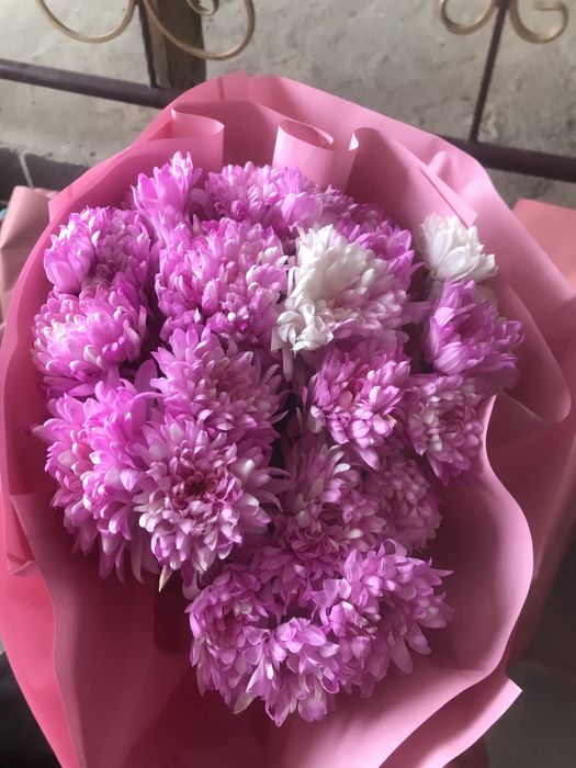 Гул сатылады арзанырақ бағада