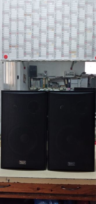 Boxe Magnat Monitor C