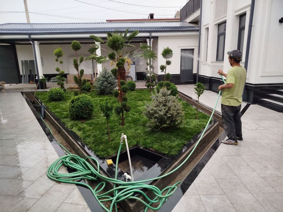 Gazon  archa  gul  darqx