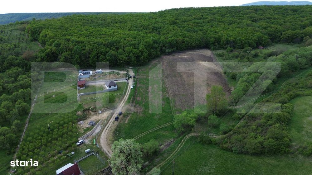 Teren 15.100 mp la baza padurii – ideal parcelare | 14 loturi | priv