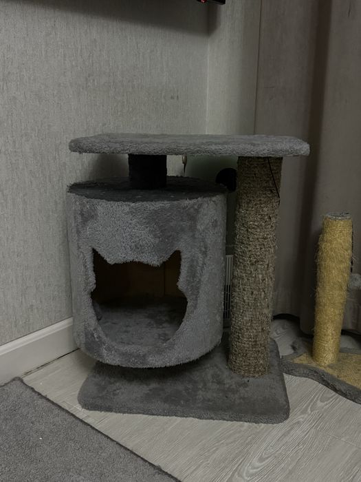 Dom dlya koshki pochti noviy