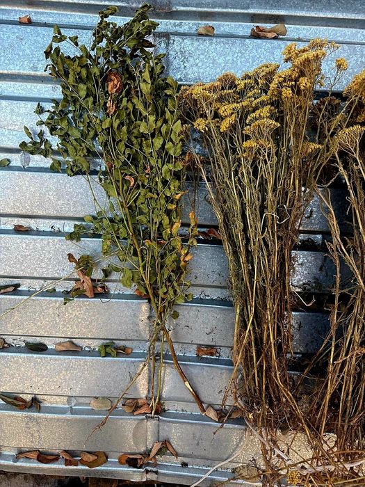 Веники для бани +Доставка