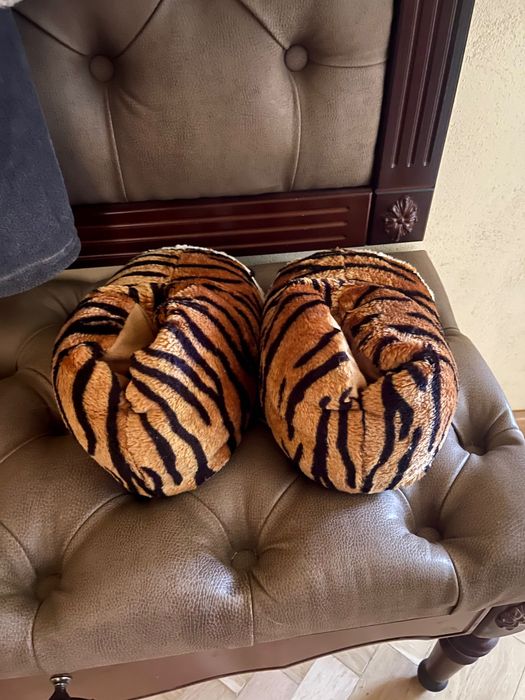 Pupuci de casă leopard tigru 44