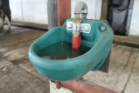 Поилка для коровы лошадей КРС Пластиковая поилка для воды Доставка