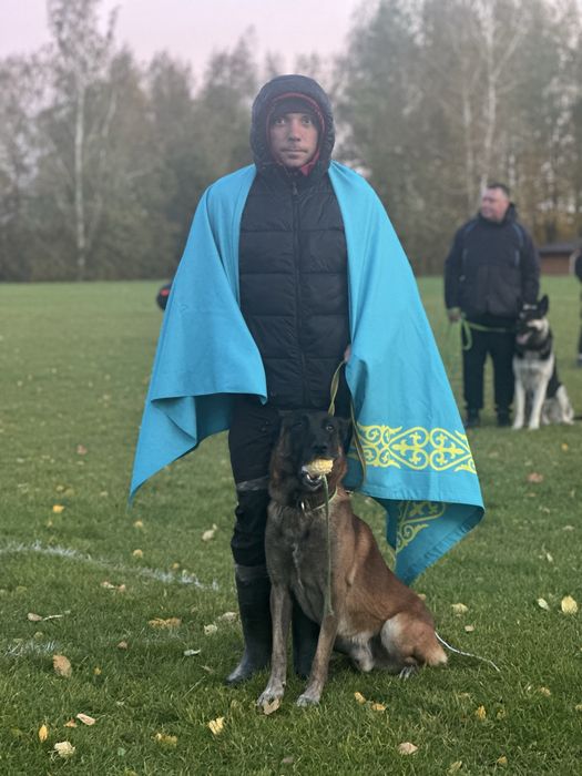 Дрессировка собак, кинолог