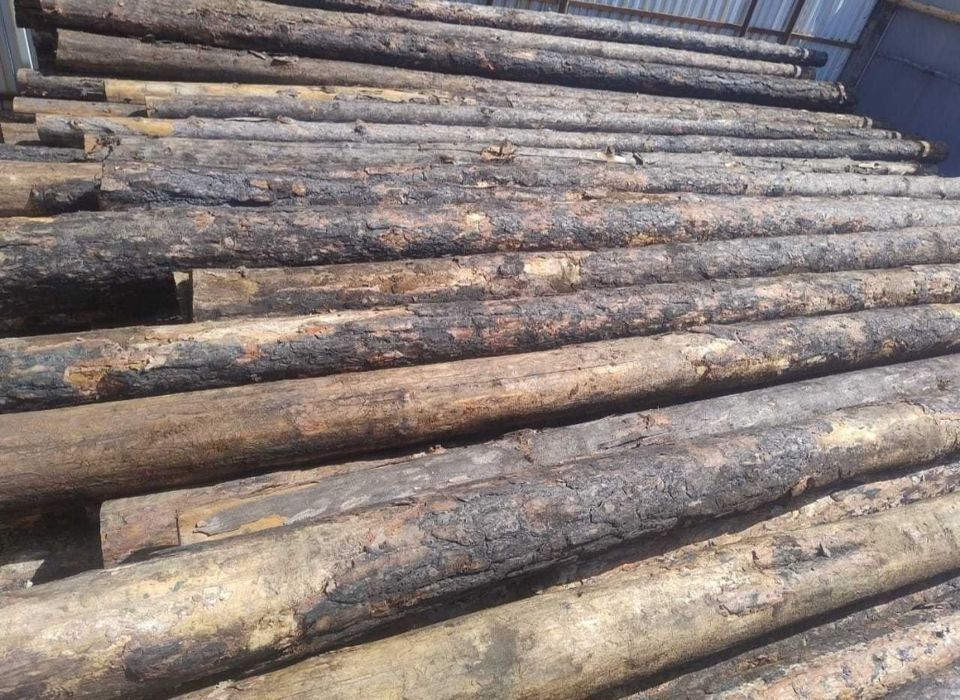 Продам деловой кругляг