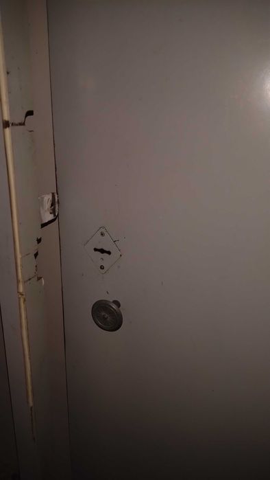 дверь металлическая входная