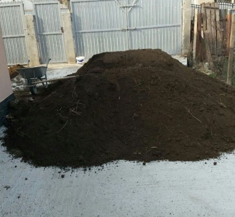 Pamant negru vegetal