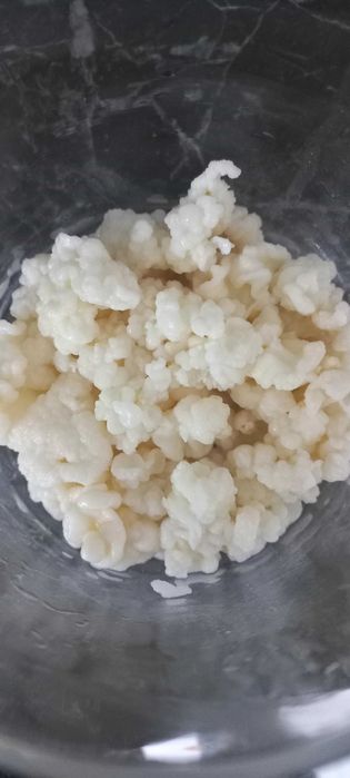 Ciupearcă pentru chefir