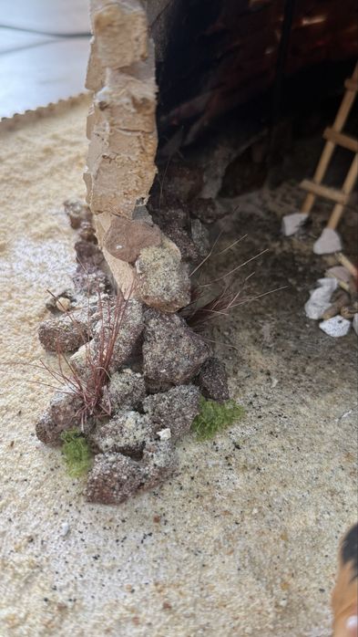 Макеты  школьные /студенческие