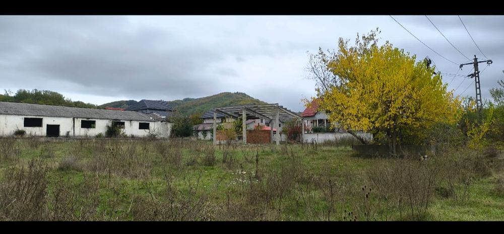Vând teren Comuna Calvini