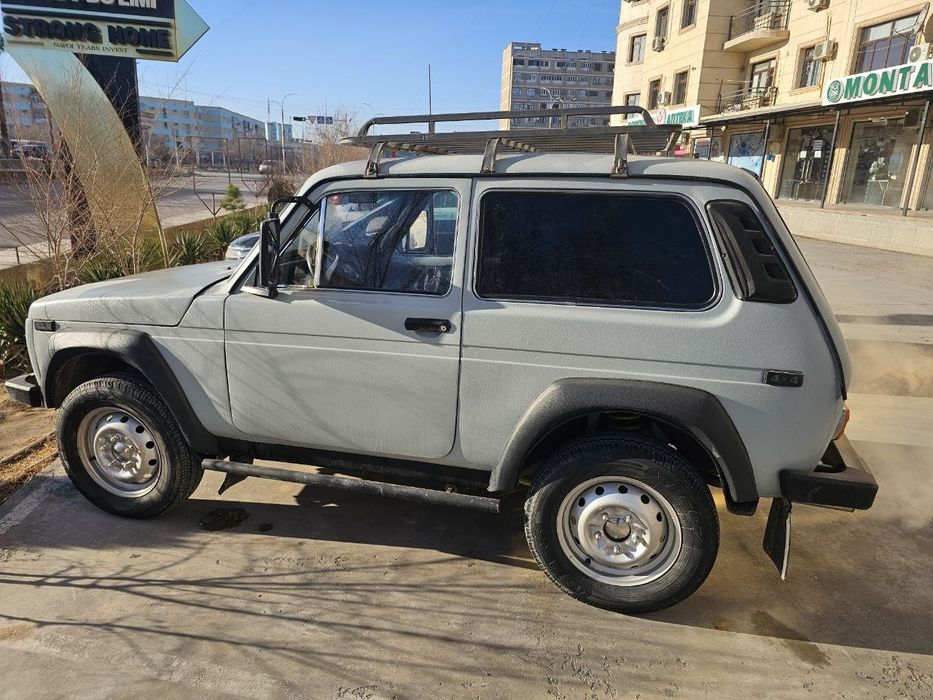 нива йили 1981 .