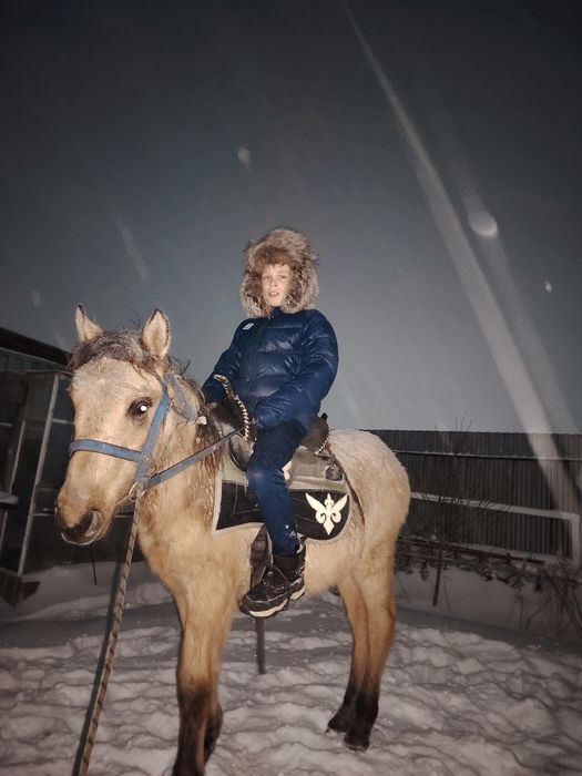 Продам Тай мальчика и девочку.