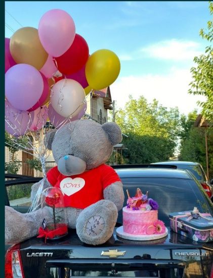 Tedi miyahki teddy