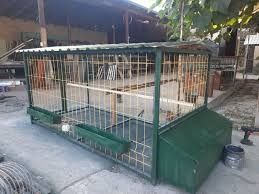 Qafas uchun setkalar. Setkalar Darojniy setka