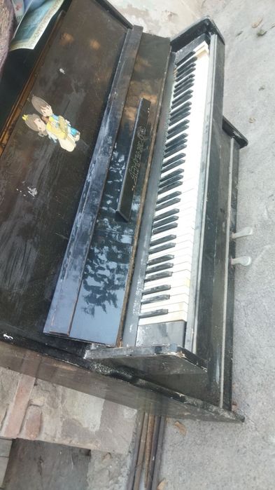 Пиянина сотилади