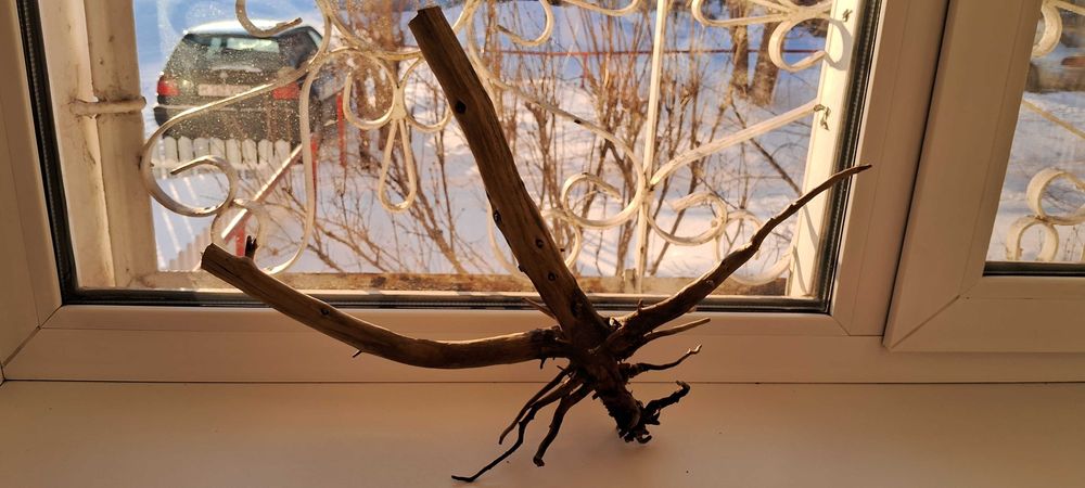 Коряга в аквариум