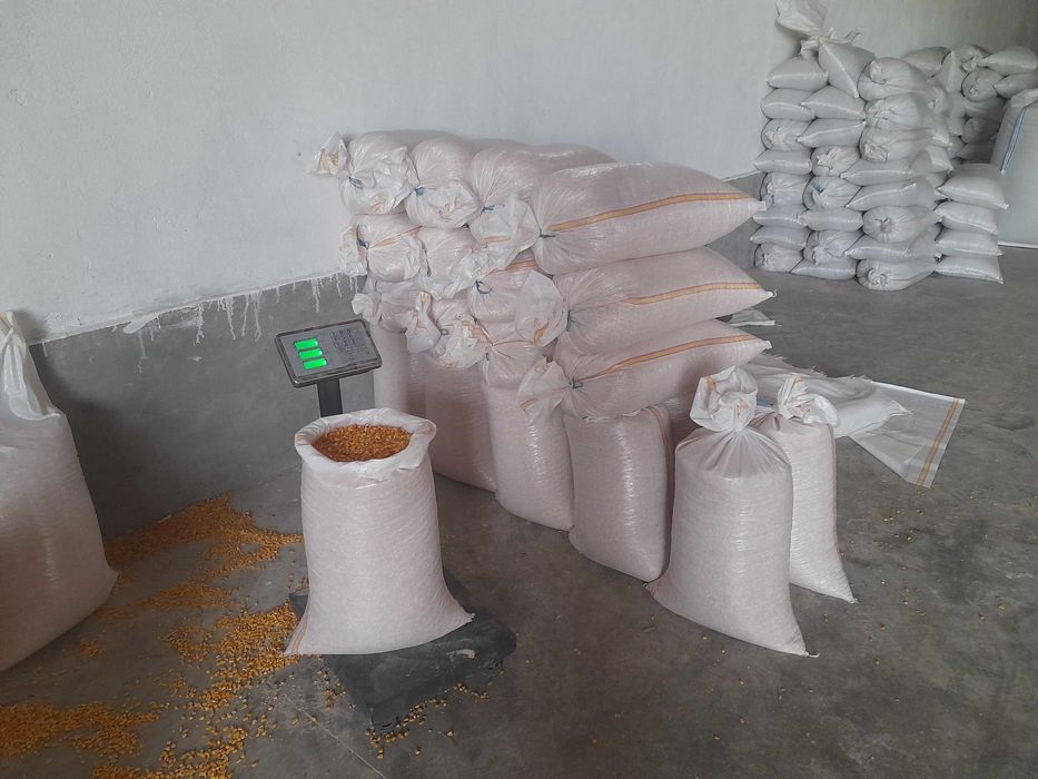 Porumb, grau, orz, cereale