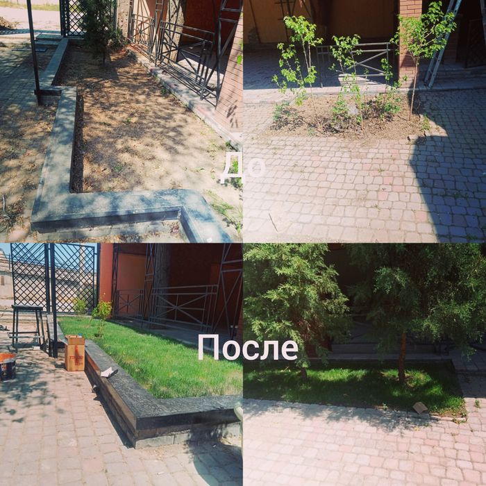 Сажаем газон и растительность