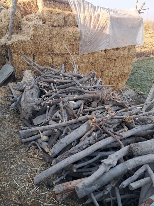 O‘tin sotiladi tez