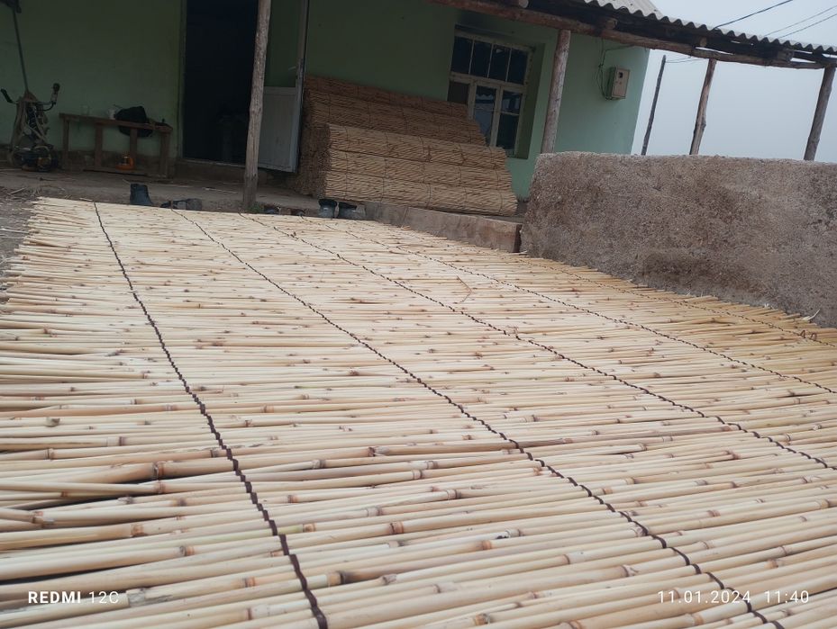 Декорлық ши бар.