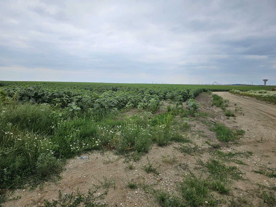 Planul I 14.832 mp Slatina bucla Drum Expres DX12 - DJ 546