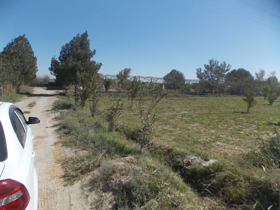 Ер сотилади. Когон тум,БАХОВУДДИН НАКШБАНД,Киракашхона кишлоги 50сотик