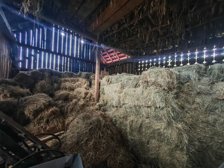 Baloți dreptunghiulari, mici, de fân și otavă.