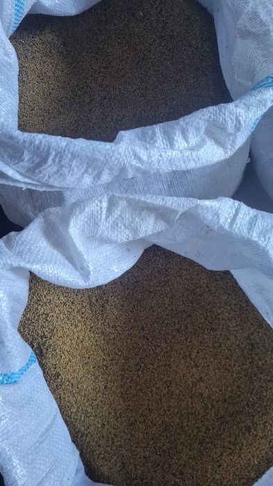 Lucernă de vănzare